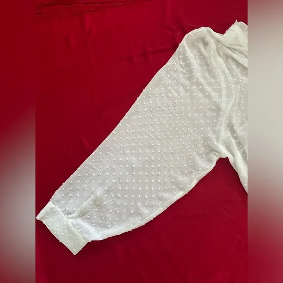 Torrid Women’s Chiffon Clip Dot Ruffle Neck Tie Front Top Blouse White Size 4X - Picture 11 of 12